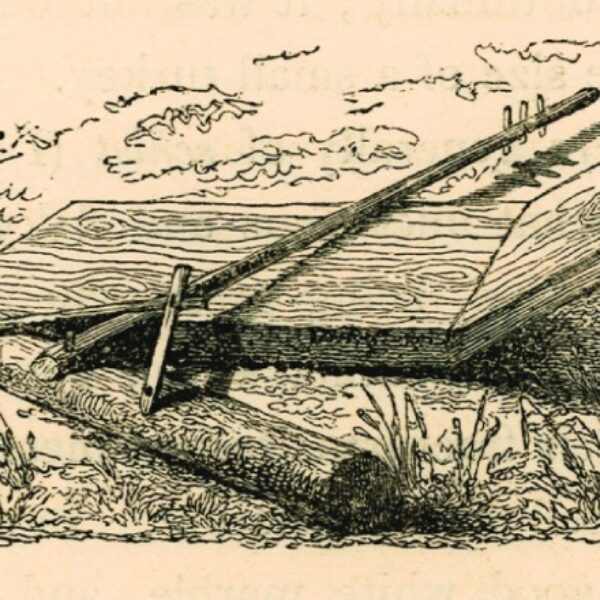 Çanakkale Bölgesi'nde Kullanılan Tarım Aletleri (1838, Charles Fellows)