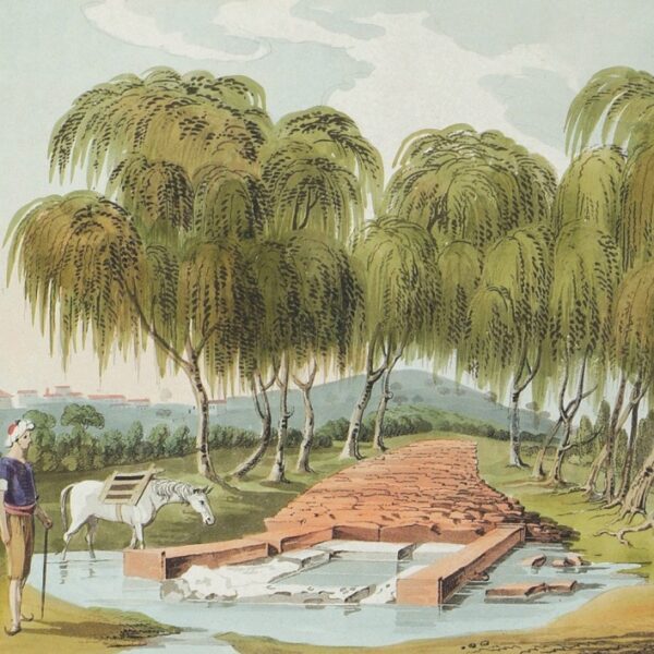 Eski Troya'nın Olduğuna İnanılan Pınarbaşı Köyü Yakınlarındaki Kırkgözler Su Kaynakları (1801, William Gell)