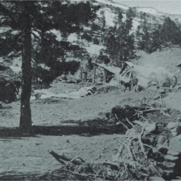 Kazdağlarındaki Çamların Bittiği Yer ve Göçmen Türkmenlerin Çadırları (1912, Walter Leaf)